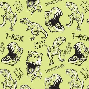T Rex Dinosaur Vinyl Sticker Wrap 2254
